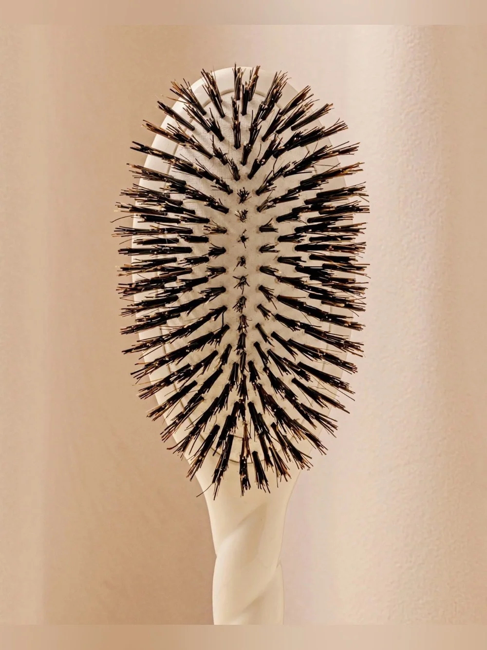 La Bonne Brosse Brush and Brush Cleaner Set